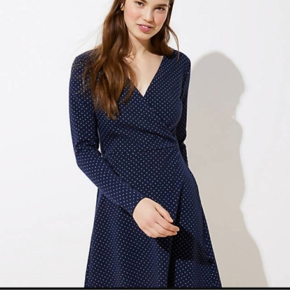 LOFT Navy Polka Dot Long-Sleeve Mini Dress